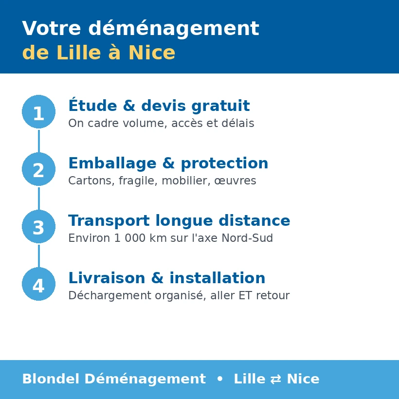 demenagement lille nice